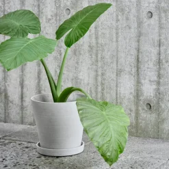 HAY Flowerpot and saucer, M, grey