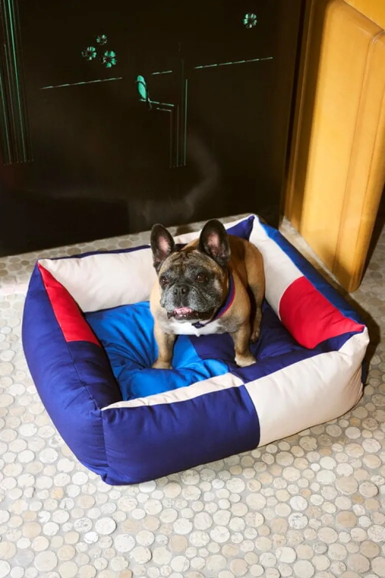 HAY HAY Dogs bed, M, red - blue