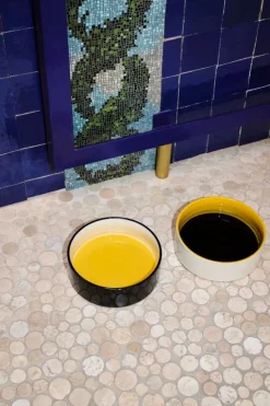 HAY HAY Dogs bowl, L, blue - yellow