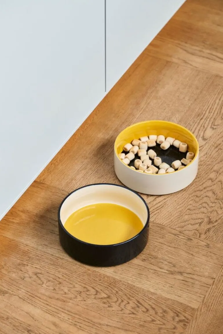 HAY HAY Dogs bowl, L, yellow - blue