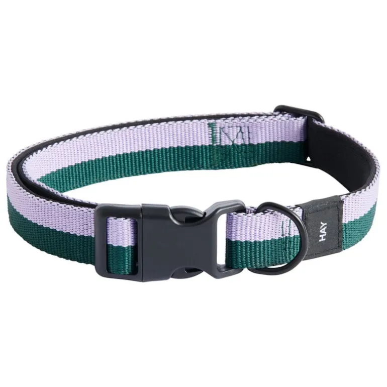 HAY HAY Dogs collar, flat, M-L, lavender - green