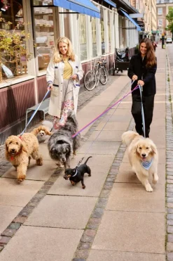 HAY HAY Dogs collar, flat, S-M, red - blue