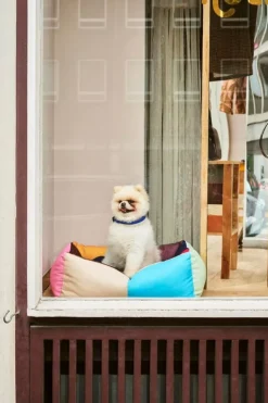 HAY HAY Dogs collar, flat, S-M, blue - off-white