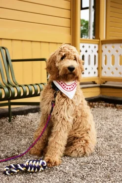 HAY HAY Dogs leash, braided, red - blue