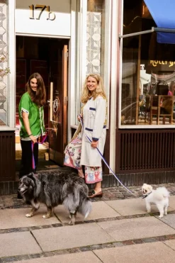 HAY HAY Dogs leash, flat, M-L, red - blue