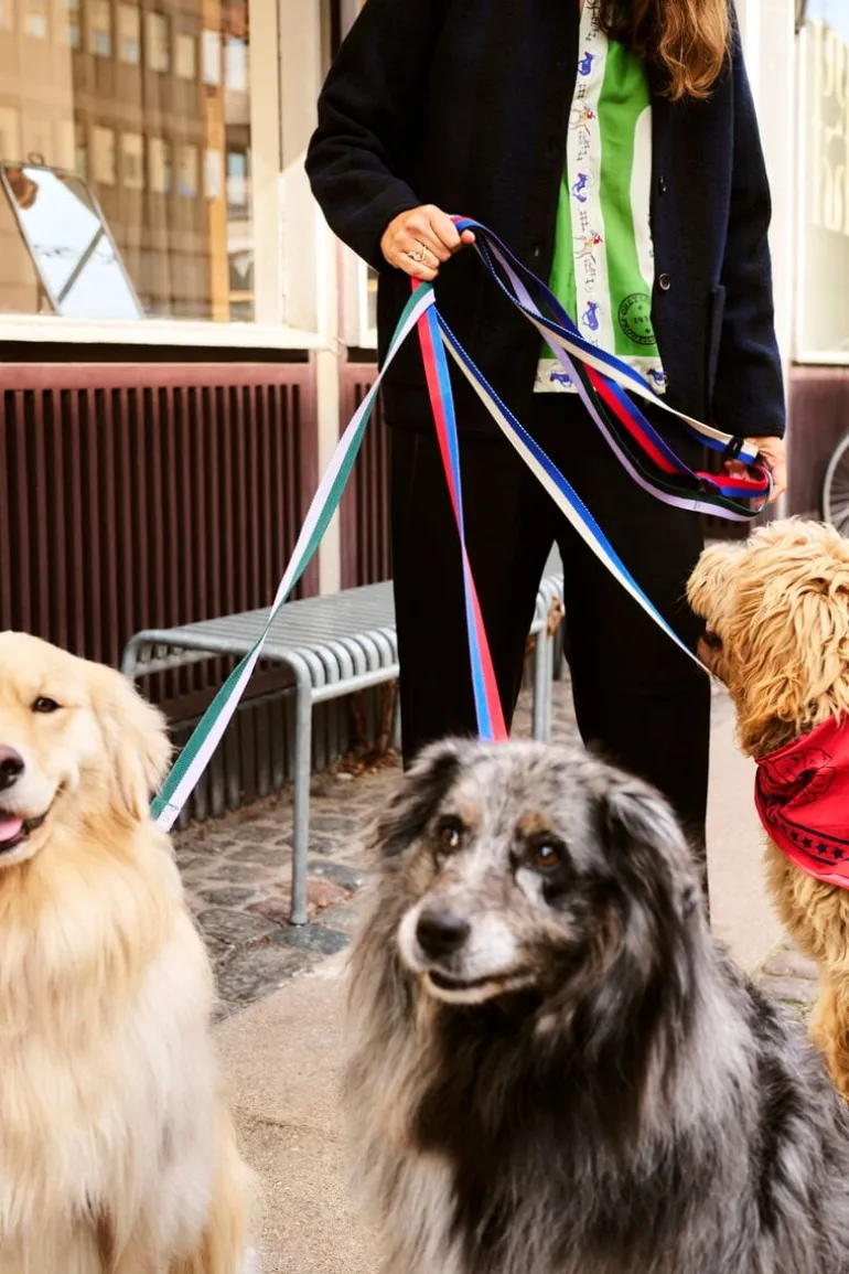 HAY HAY Dogs leash, flat, M-L, red - blue