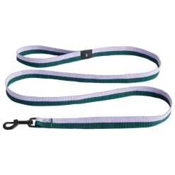 HAY HAY dogs leash, flat, M-L, lavender - green