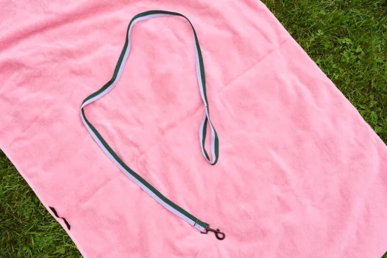 HAY HAY dogs leash, flat, M-L, lavender - green