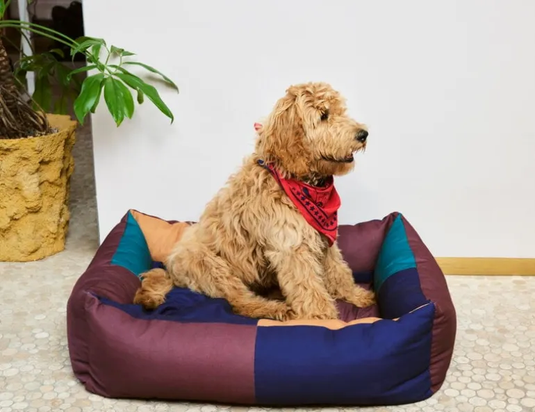 HAY HAY Dogs scarf, 55 x 55 cm, red
