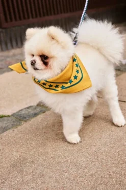 HAY HAY Dogs scarf, 55 x 55 cm, ochre