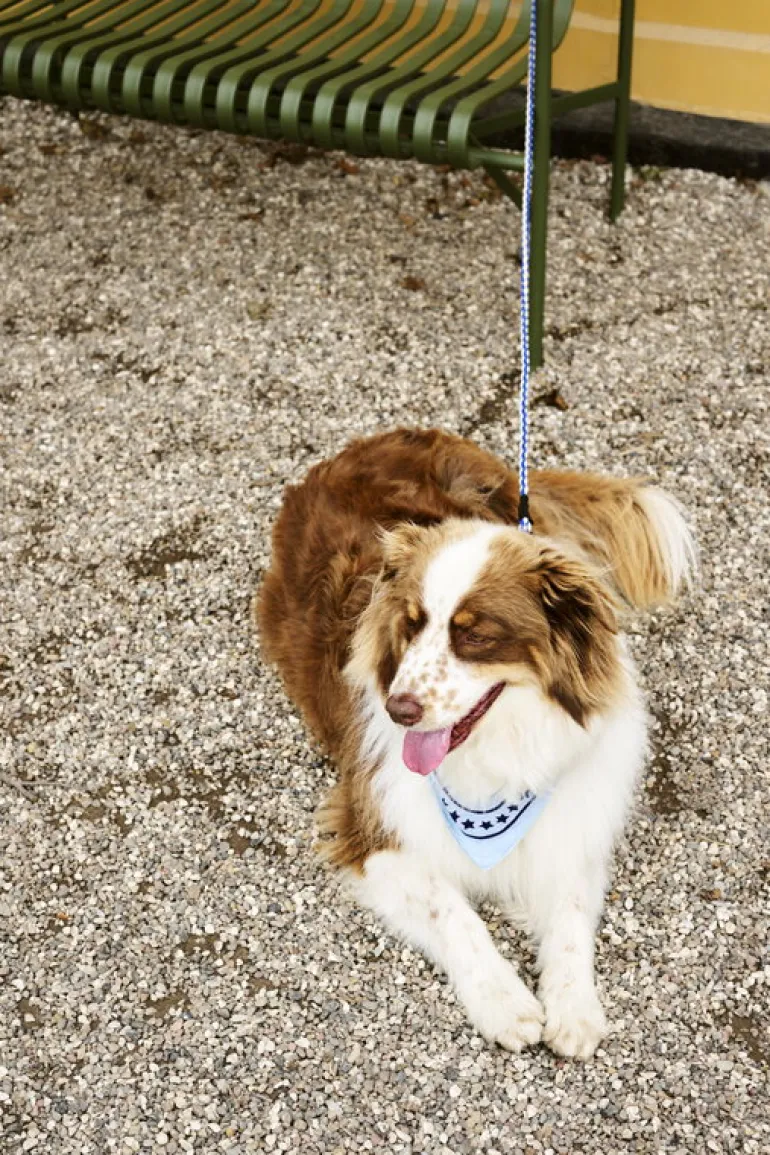 HAY Palissade lounge sofa, olive