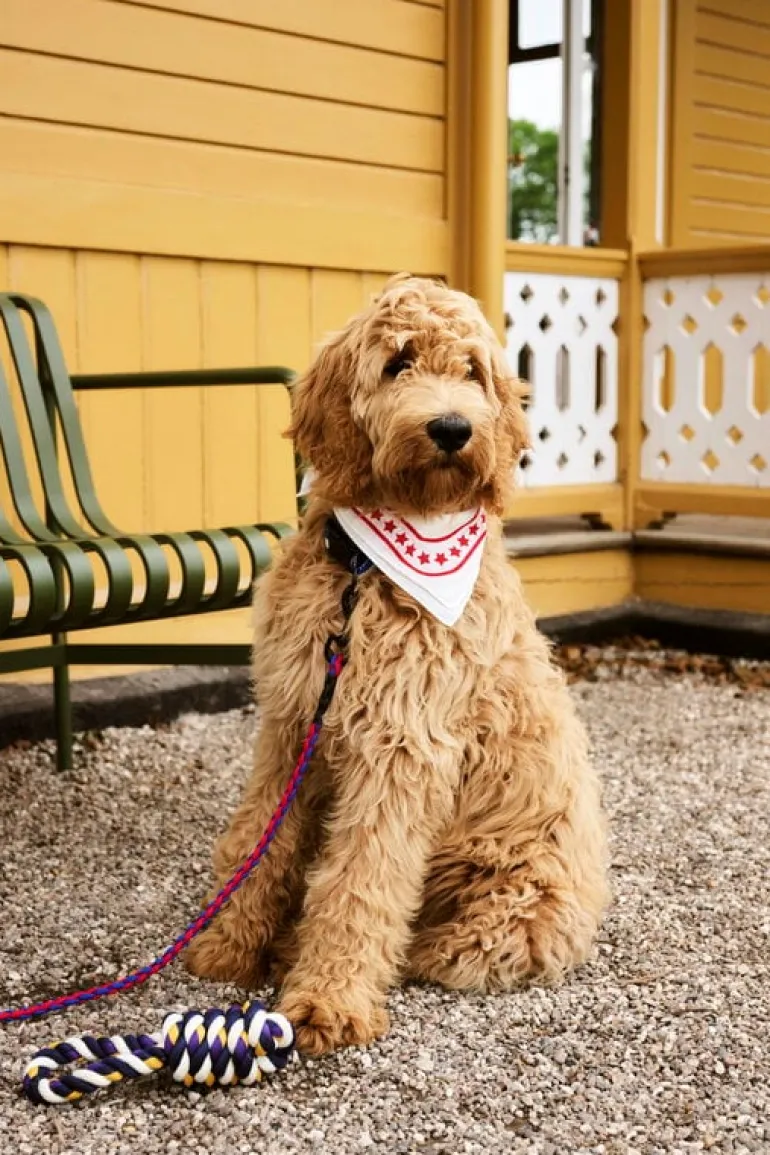 HAY Palissade lounge sofa, olive