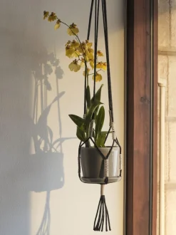 HAY Phanta plant hanger, black