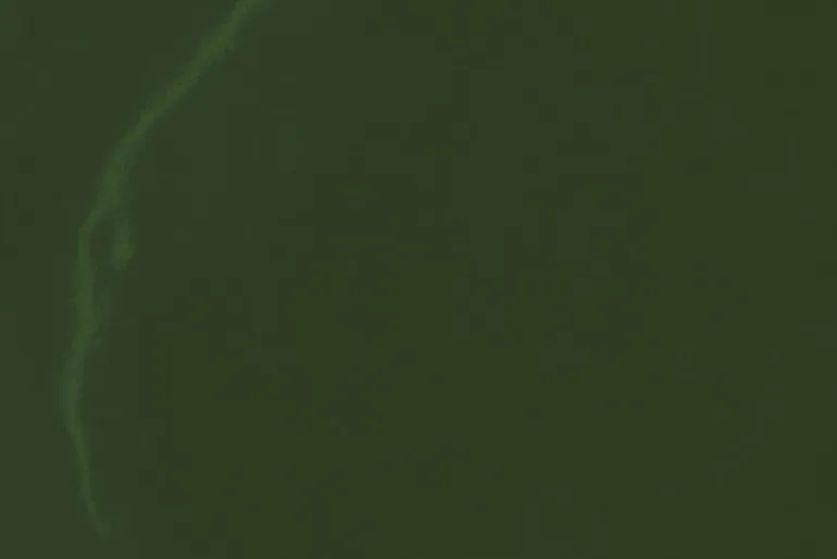 Hem Bronto espresso cup, 4 pcs, green