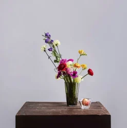 Iittala Aalto bowl 75 mm, clear