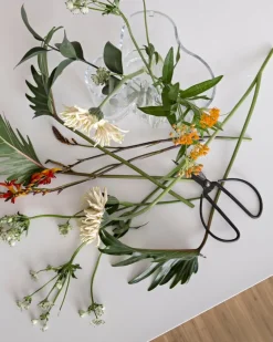 Iittala Aalto vase 160 mm, clear