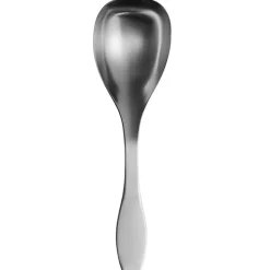 Iittala Collective Tools serving spoon