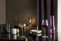 Iittala Essence cocktail bowl, set of 2