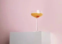 Iittala Essence cocktail bowl, set of 2