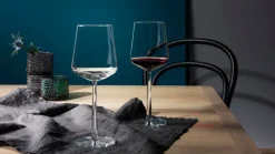 Iittala Essence red wine glass, set of 2