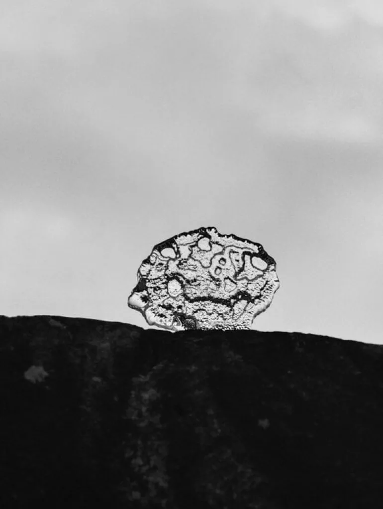 Iittala Ice platter art piece, 260 x 35 mm, clear