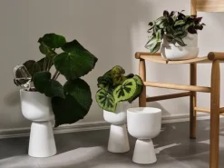 Iittala Iittala watering bottle, 2 pcs