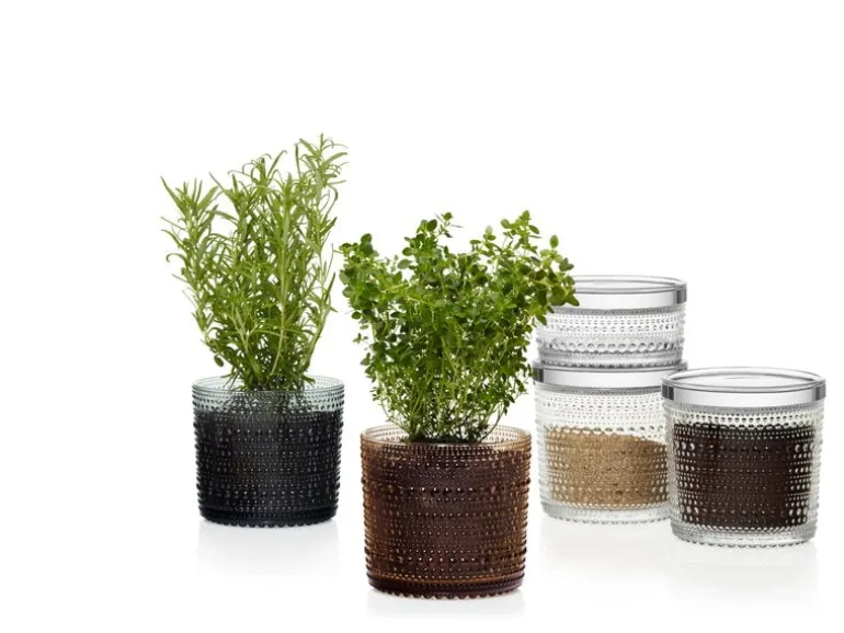 Iittala Kastehelmi jar 116 x 114 mm, clear