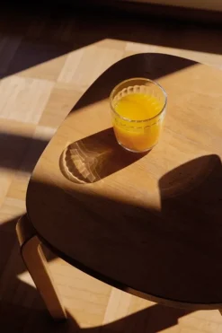 Iittala Raami tumbler 26 cl, 2 pcs, clear