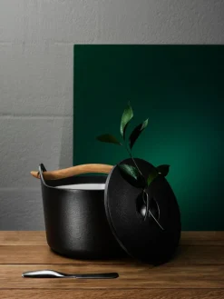 Iittala Sarpaneva cast iron pot 3 L