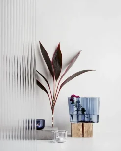 Iittala Valkea tealight candleholder 60 mm, clear