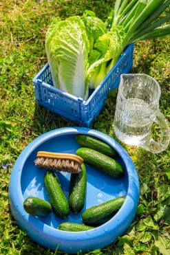 Iris Hantverk Vegetable brush