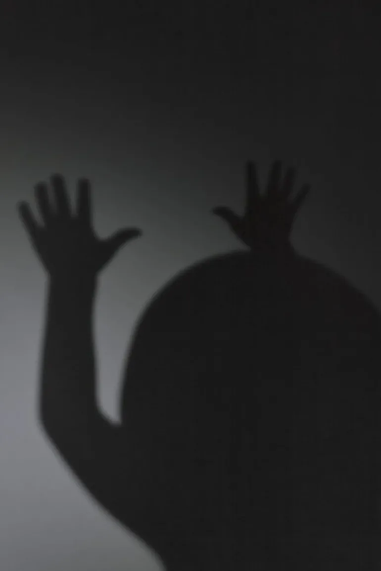 Kehrer Verlag Anni Hanén: Just Small Hiccups