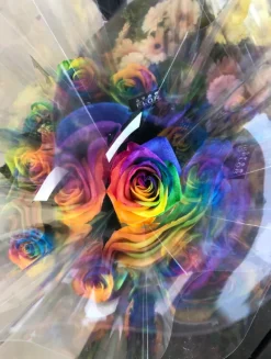 Kehrer Verlag Hertta Kiiski: Otherworld