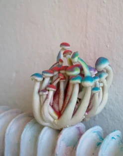 Kehrer Verlag Hertta Kiiski: Otherworld