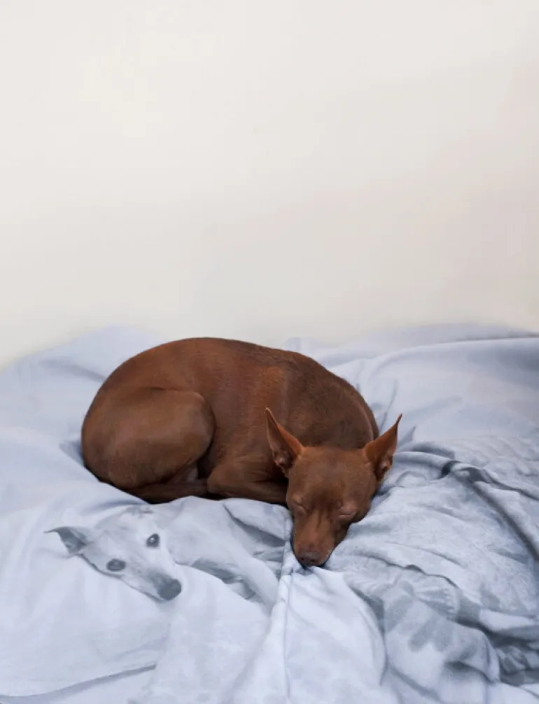 Kehrer Verlag Hertta Kiiski & Niina Vatanen: Archive Play