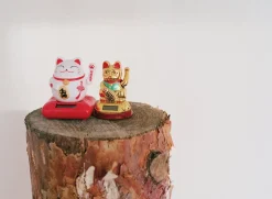 Kehrer Verlag I Was An Apple And I Got Peeled But It Was A Good Thing