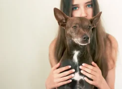 Kehrer Verlag I Was An Apple And I Got Peeled But It Was A Good Thing