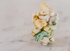 Kehrer Verlag I Was An Apple And I Got Peeled But It Was A Good Thing