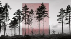 Kehrer Verlag Jaakko Kahilaniemi: 100 Hectares of Understanding