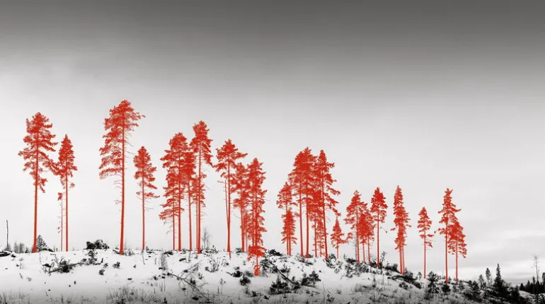 Kehrer Verlag Jaakko Kahilaniemi: 100 Hectares of Understanding