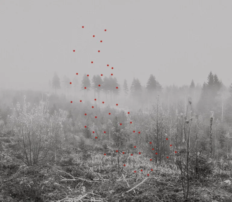 Kehrer Verlag Jaakko Kahilaniemi: 100 Hectares of Understanding