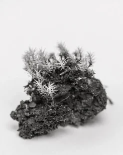 Kehrer Verlag Jaakko Kahilaniemi: 100 Hectares of Understanding