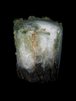 Kehrer Verlag Jaakko Kahilaniemi: 100 Hectares of Understanding