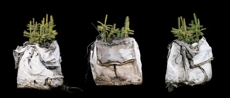 Kehrer Verlag Jaakko Kahilaniemi: 100 Hectares of Understanding