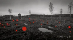 Kehrer Verlag Jaakko Kahilaniemi: 100 Hectares of Understanding