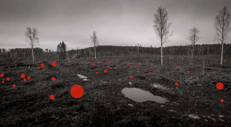 Kehrer Verlag Jaakko Kahilaniemi: 100 Hectares of Understanding