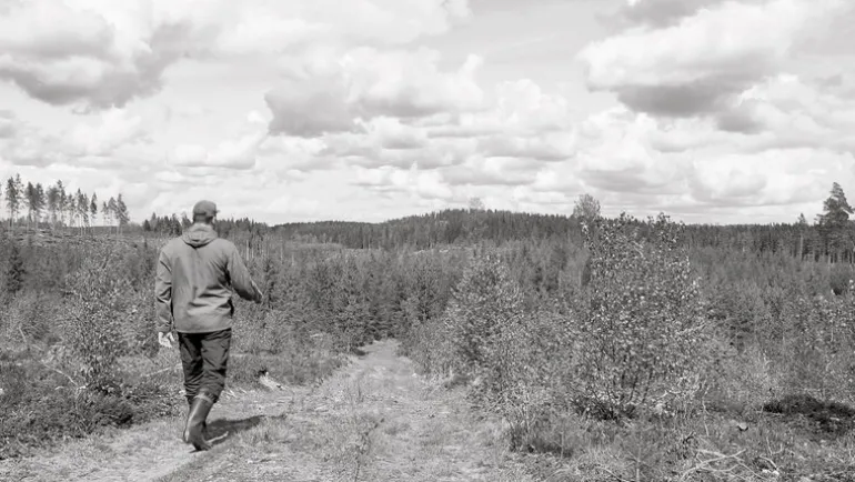 Kehrer Verlag Jaakko Kahilaniemi: 100 Hectares of Understanding