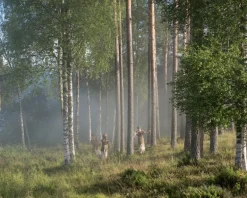 Kehrer Verlag Terje Abusdal: Slash and Burn