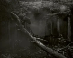 Kehrer Verlag Terje Abusdal: Slash and Burn