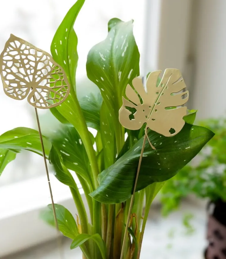 Klong Brass Leaves Water ornamental plant support, 2 pcs